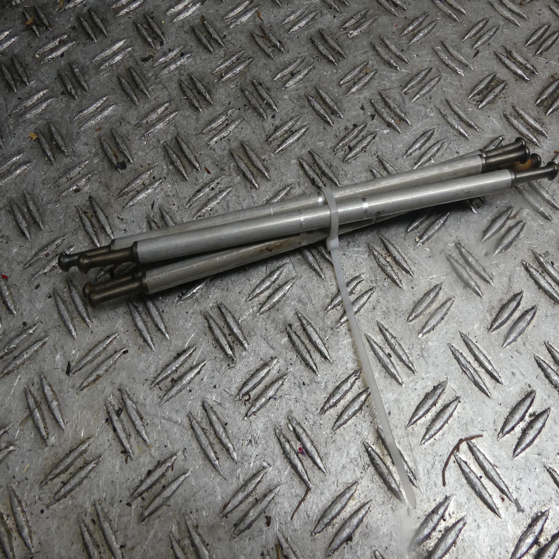 B1