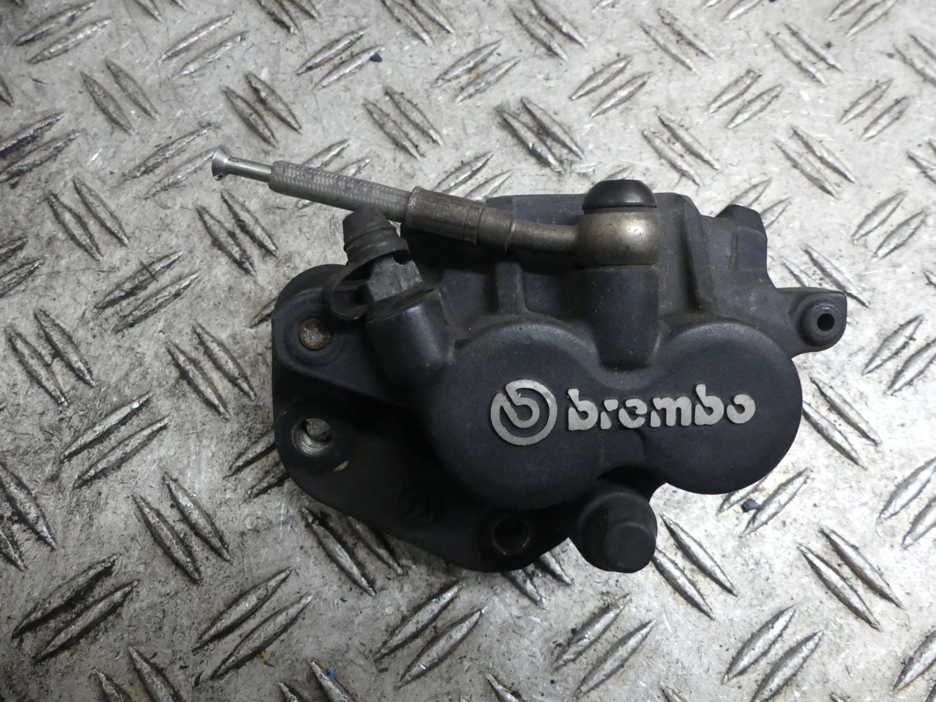 B1